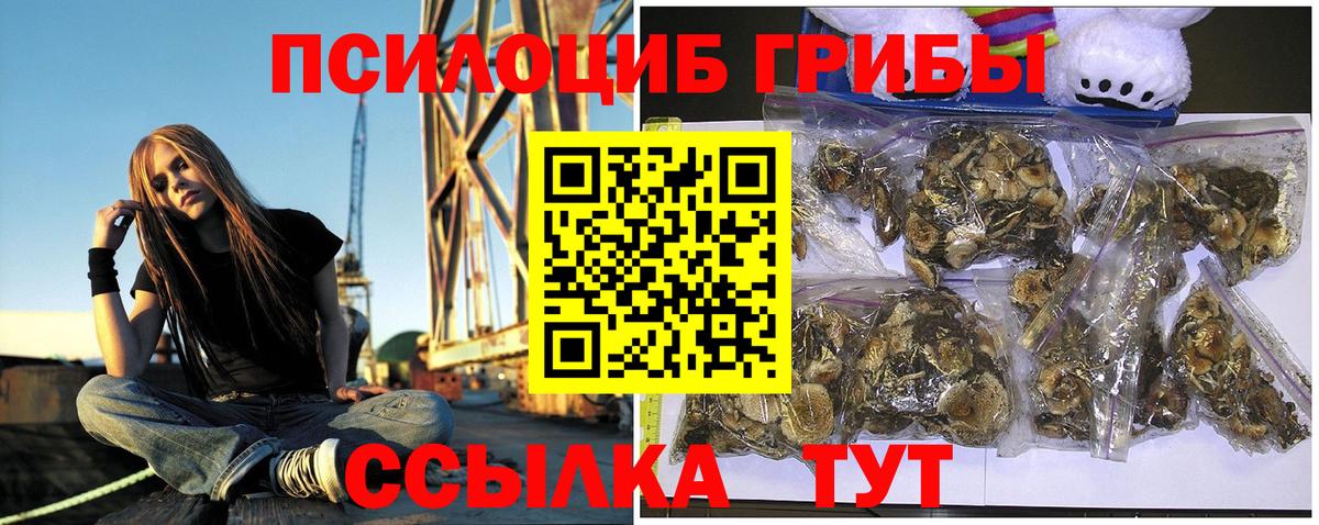 Галлюциногенные грибы Psilocybine cubensis  купить закладку  Псилоцибиновые грибы MAGIC MUSHROOMS  Новотроицк  Вход с VPN 